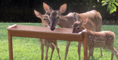 Bird Feeders And Other Wildlife Related Gift Packages
